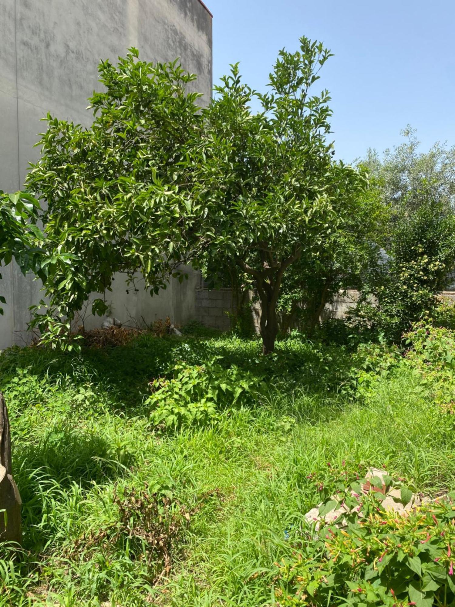 L'Incognita Bed & Breakfast San Nicolo d'Arcidano Ngoại thất bức ảnh